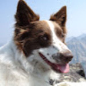 Meet your Posher, Jeffrey